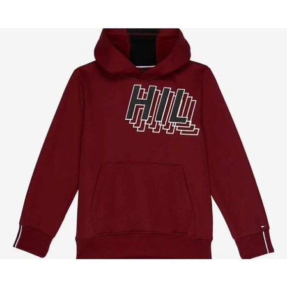 TOMMY HILFIGER KIDS - NWT Todder Boys Size 4 TSP Fast Break LS Pullover Hoodie♥️ - Picture 1 of 13